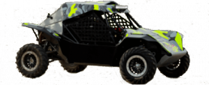 Rage Driving Experiences Buggie